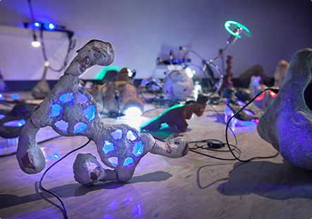 Pera Müzesi - Katherine Behar 'Veri Girişi'