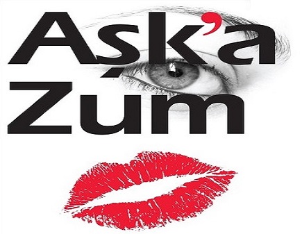 AŞK YOKSA AŞK OLSUN! - Veysel Boğatepe yazdı... 1