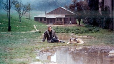 FilmBox Arthouse’la Andrei Tarkovsky Günleri