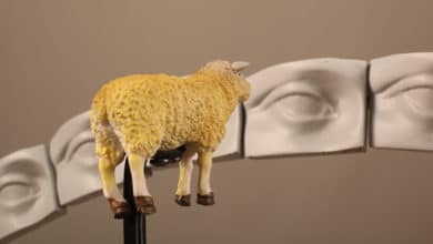 CerModern Hub Sanat Mekan Sergi - Asaf Erdemli "Göz Hizası" 1