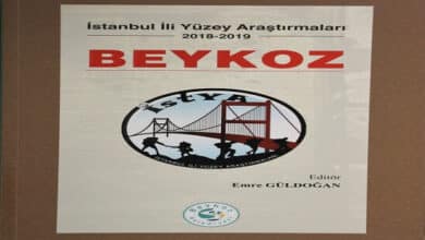 İstanbul İli Yüzey Araştırmaları