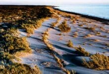 Dogal Duzen-Natural Order (Ali Kabas)