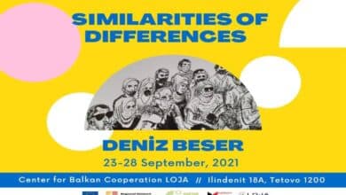 Exhibition-Deniz Beser-Similarities of Differences