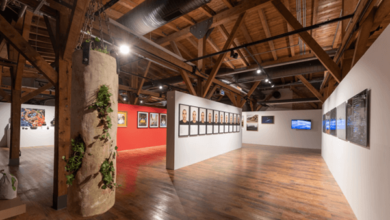 Mamut Art Project