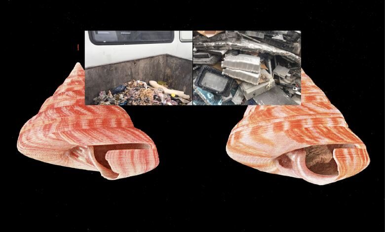 1-[Extro-Envanter], sergi yayını için dijital kolaj, 2021, Emre Huner