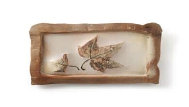 Donusen_Dokular_ve_Renkler