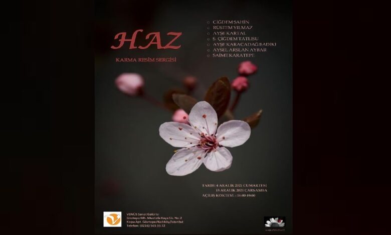 Haz Sergisi