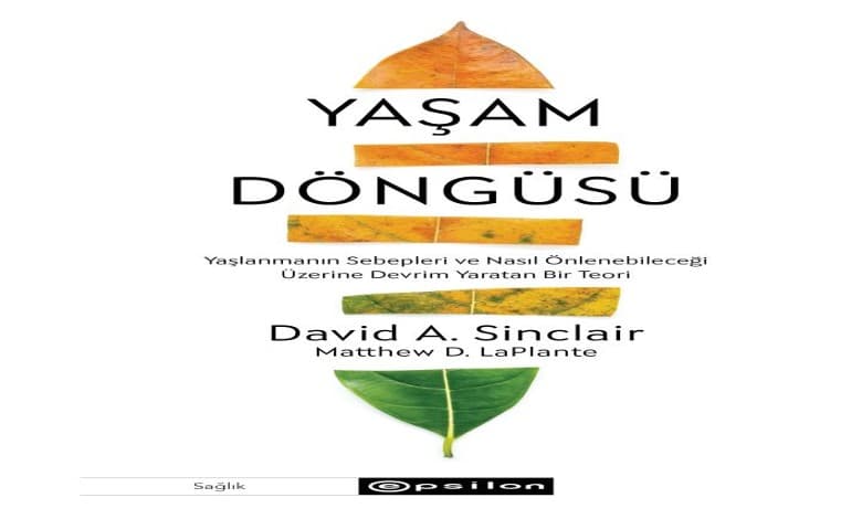 Yasam Dongusu02