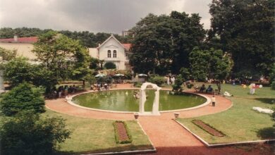 Resim ve Heykel Müzeleri Derneği