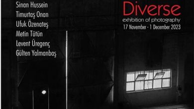 'Diverse' Fotoğraf Sergisi Guga Contemporary'de