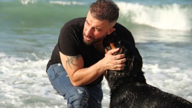 Kemal Uysal, 'Köpek' İle Yeniden Okurla Buluşuyor