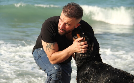 Kemal Uysal, 'Köpek' İle Yeniden Okurla Buluşuyor