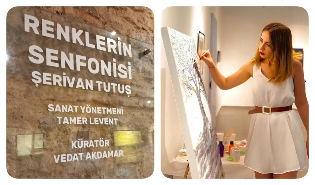 Renklerin Senfonisi