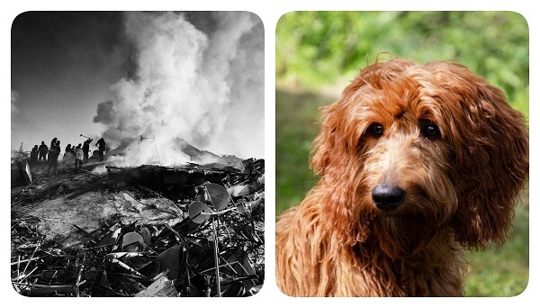 İFSAK Galeri'de İki Sergi