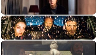 SİYAD Ödülleri Adaylıklarına 'Kuru Otlar Üstüne', 'Karanlık Gece' ve 'Hayat' Damgası