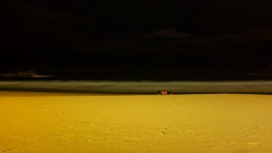 'Hakiki Hikâyeler' Sergisi Milli Reasürans Sanat Galerisi’nde Açılıyor