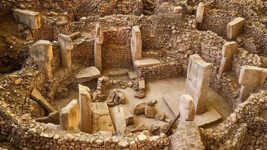 Göbeklitepe Kazı Çalışmaları Durduruldu Mu? - Mine Bora Diri Yazdı… 22 Göbeklitepe Kazı Çalışmaları Durduruldu Mu? - Mine Bora Diri Yazdı…