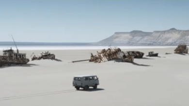 Diriliş Adası: 27 Eylül'de Vizyonda