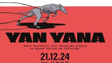 Sokak Hayvanları İçin Dayanışma Sergisi