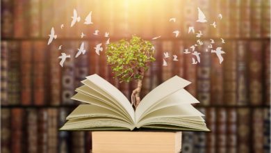 Türkiye’de En Çok Satan Kitaplar Listesi, 2025: Hangi Kitaplar Listede? 56 Türkiye’de En Çok Satan Kitaplar Listesi, 2025: Hangi Kitaplar Listede?