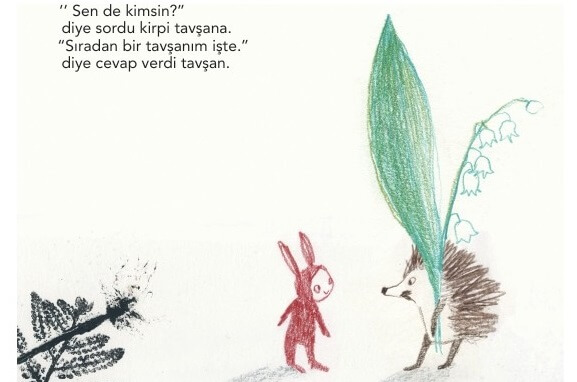 Burunsuz Tavşan