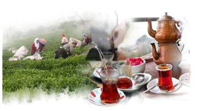 Türkiye’de Çay Kültürü Ve Atatürk’ün Rolü 13 Türkiye’de Çay Kültürü Ve Atatürk’ün Rolü
