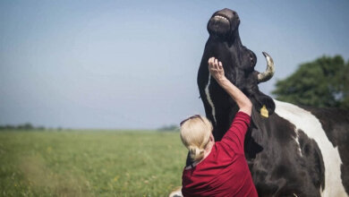 Salt Beyoğlu’ndaki Açık Sinema’da 'Bir Nefesin İzinden' 4