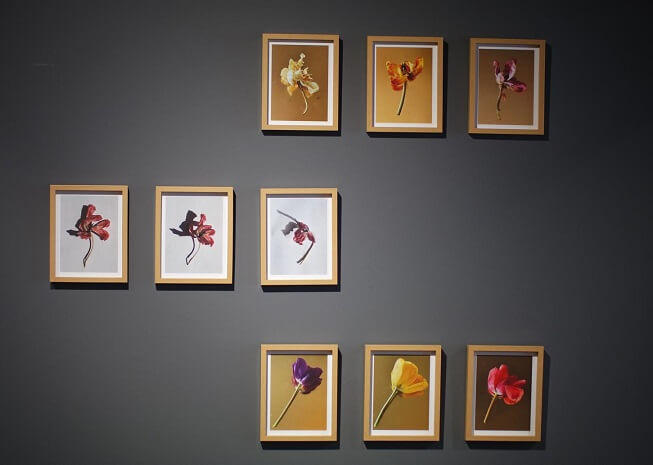 Çeyiz Makal: 'Gündelik Olanın İçinde Kaybolmuş Detaylarla Bağ Kurulmasını Umuyorum' 4 Çeyiz Makal: 'Gündelik Olanın İçinde Kaybolmuş Detaylarla Bağ Kurulmasını Umuyorum'