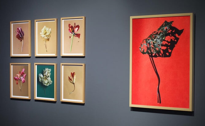 Çeyiz Makal: 'Gündelik Olanın İçinde Kaybolmuş Detaylarla Bağ Kurulmasını Umuyorum' 2 Çeyiz Makal: 'Gündelik Olanın İçinde Kaybolmuş Detaylarla Bağ Kurulmasını Umuyorum'