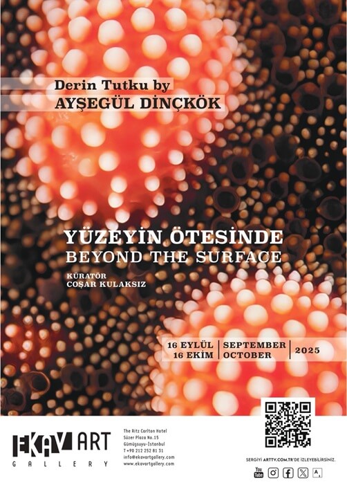 Ayşegül Dinçkök, Sualtı Dünyasının Kırılganlığını Gözler Önüne Seriyor