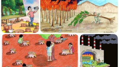 Orman Yangınlarına Dikkat Çekiyor: 'Küllerinden Doğan Umut' 18 Orman Yangınlarına Dikkat Çekiyor: 'Küllerinden Doğan Umut'