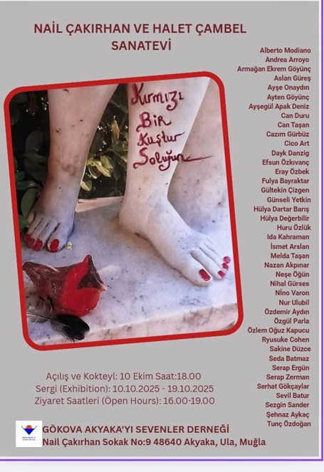 Kuşlar 4. Edisyonu İle Akyaka'da