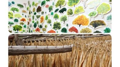 'Yüzeyin Kabuğunda' Greenhouse’da 32