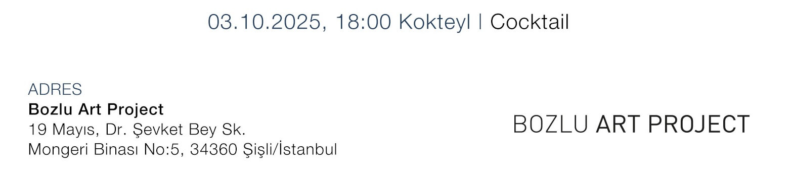 Güven Zeyrek, Tenduvar İle Bozlu Art Project'te