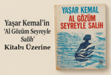Yaşar Kemal’in Farklı Bir Romanı: Al Gözüm Seyreyle Salih