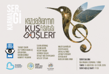 “Kaz Dağları'nın Fısıltısı Kuş Düşleri” Sergisi kapılarını açıyor