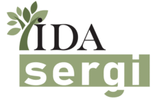 Bir Zeytin Ağacının Gölgesinden Işığa