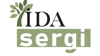 Bir Zeytin Ağacının Gölgesinden Işığa