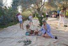 Olive Fest 2026 Heyecanı Başlıyor