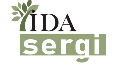 Bir Zeytin Ağacının Gölgesinden Işığa