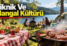 Piknik Ve Mangal Kültürü: Ateşin Etrafında Şekillenen Toplumsal Hafıza - Şeref Umut Ersop yazdı.